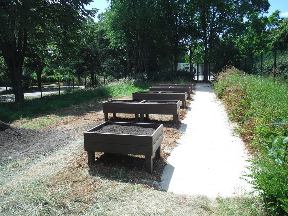 desimpermeabilisation et plantations ecole aj3m jardin potager